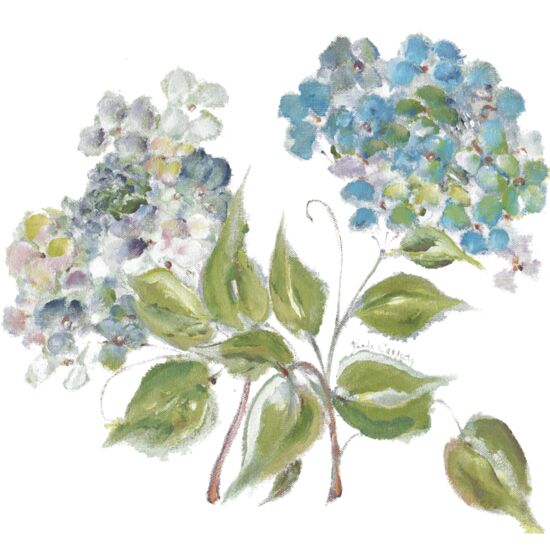 7015 Hydrangea Thumbnail