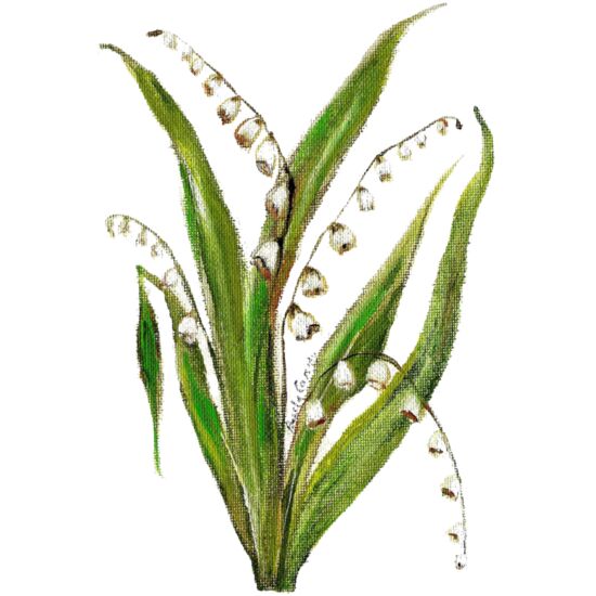 90391 May Morning Thumbnail