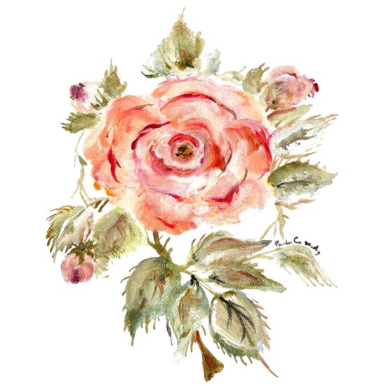 90382 Rosa Rugosa Thumbnail