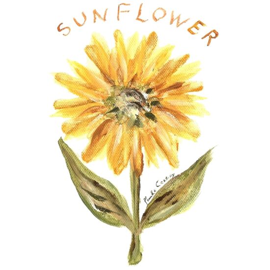 60421 Front Porch Thumbnail