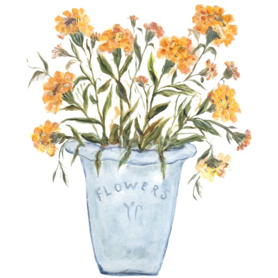 4012 Marigold Thumbnail