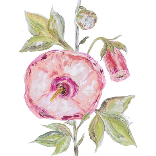 151 Rose Mallow Thumbnail