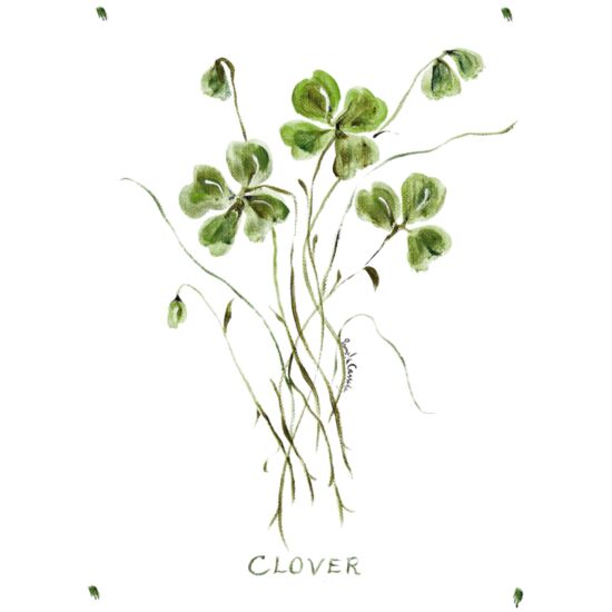 20011 Clover Thumbnail