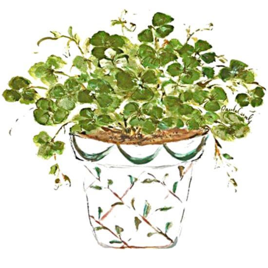 3075 Shamrock Thumbnail