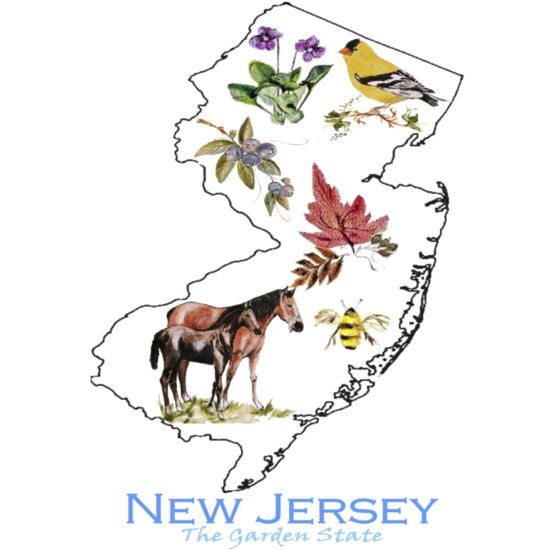 5081 NJ State Outline Thumbnail
