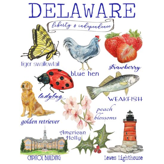 172  Delaware State Icons Thumbnail