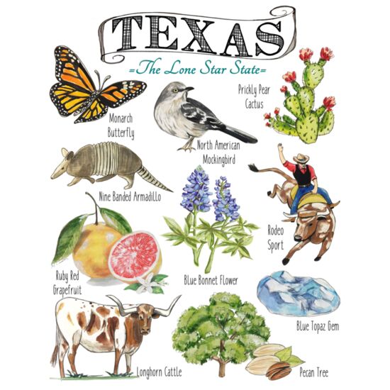 160 Texas State Icons Thumbnail