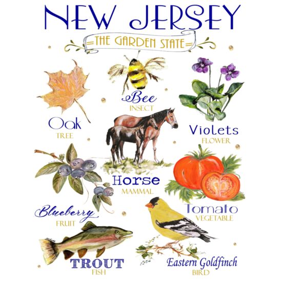 0144 NJ Icons Thumbnail