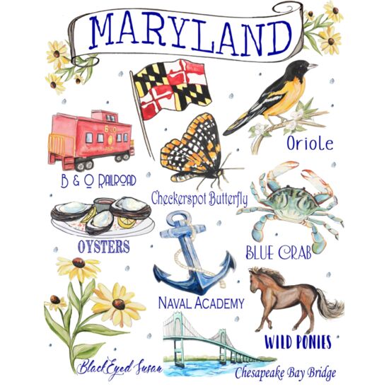 0138 MD Icon with Wild Pony Thumbnail