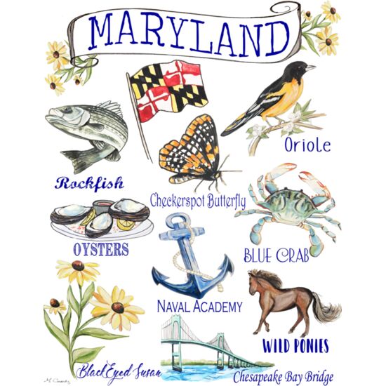 0142 MD Icon with Rockfish Thumbnail