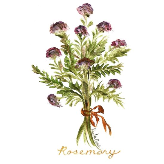 60371 Rosemary Thumbnail