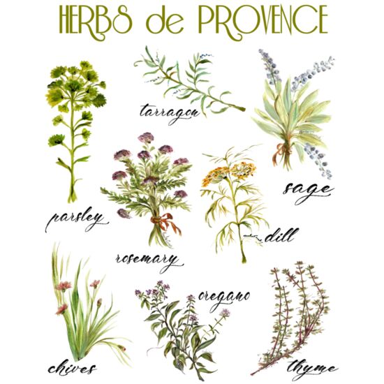 45 Herbs de Provence Thumbnail