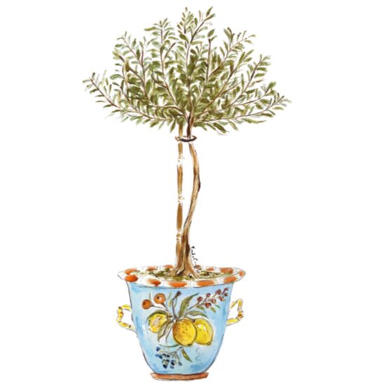 52 Rosemary Thumbnail