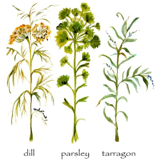 3021 Back Porch Thumbnail