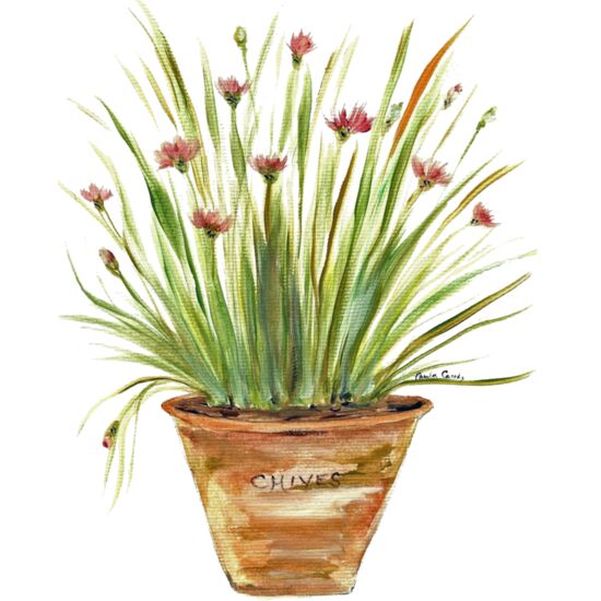 20691 Chives Thumbnail