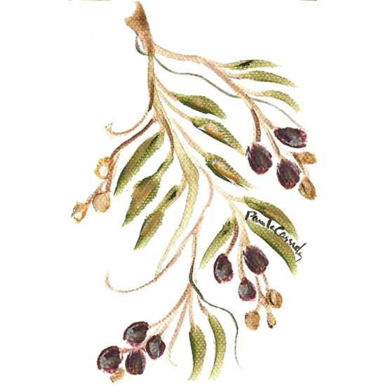 60621 Olive Branch Thumbnail