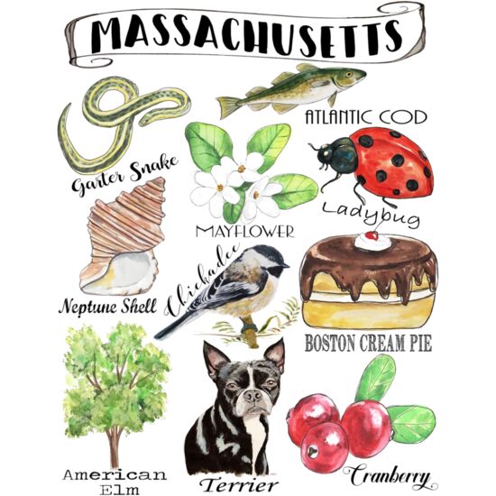 191 Massachusetts State Icon  Thumbnail