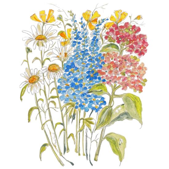 211 French Country Thumbnail