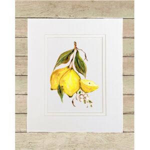 Matted Print Small Thumbnail