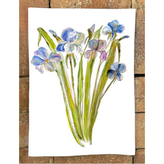 NEW Spring 2026! Thumbnail